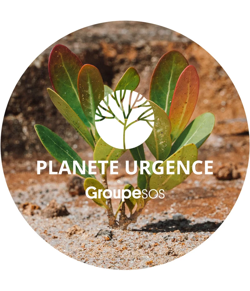 1 euro = 1 arbre planté