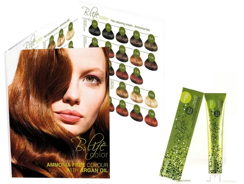 B-Life Nuancier 45 Mèchet.Color 2013-12 Fvita