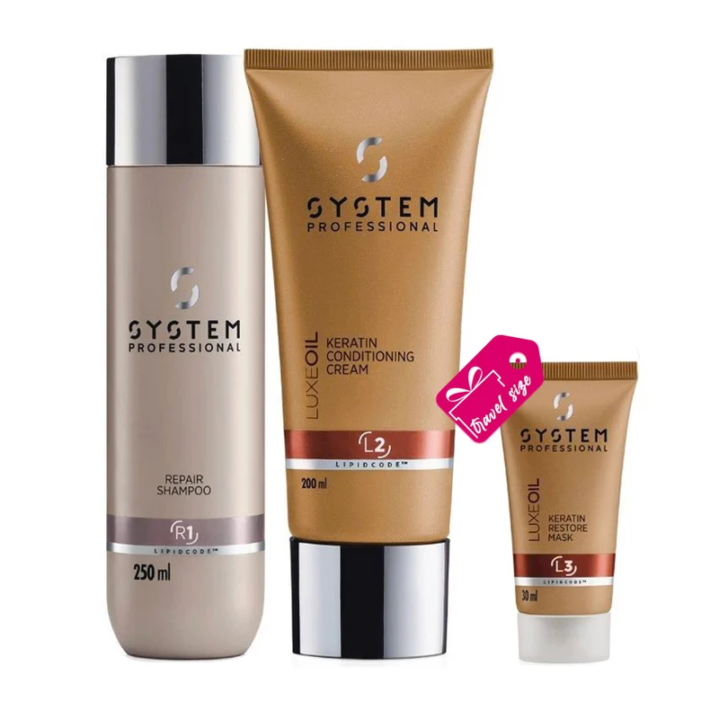System Professional Basic Routine Pour Cheveux Ternes