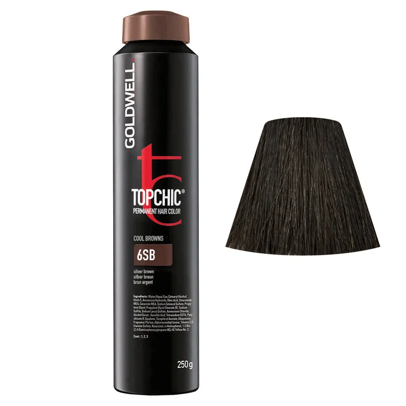 Goldwell Topchic Can 6SB Marron Argenté 250gr - coloration permanente en bombe