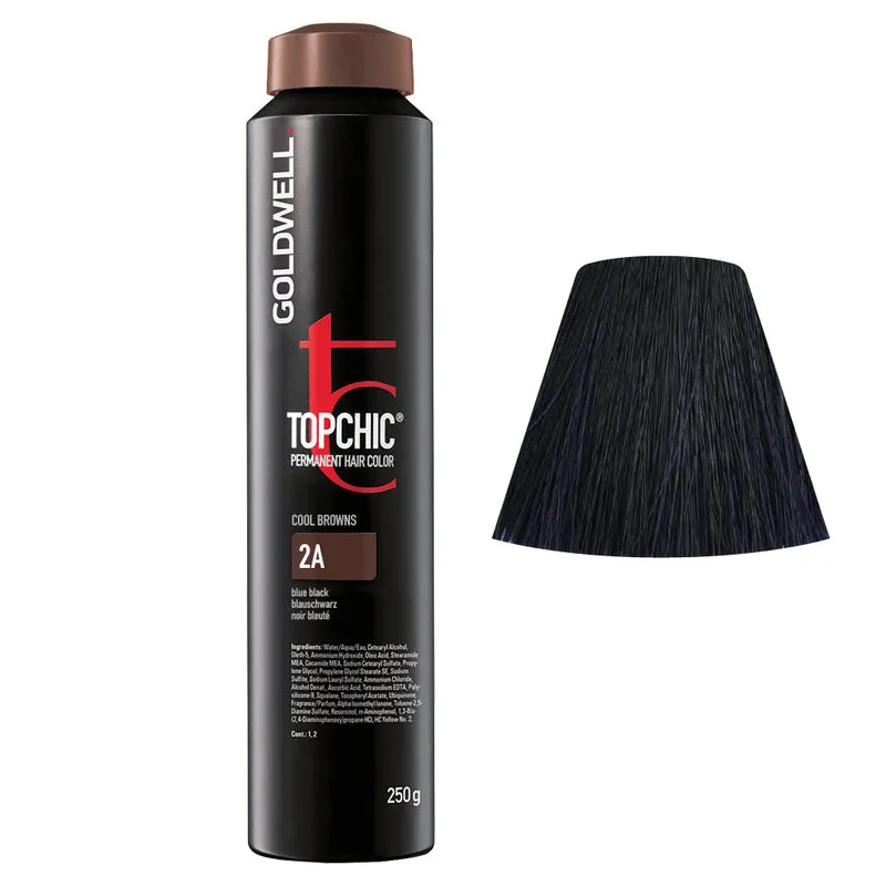 Goldwell Topchic Can 2A Bleu-Noir 250gr - coloration permanente en bombe