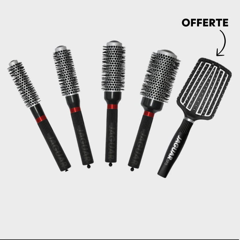 Pack 4 Brosses Rondes Jaguar T-Serie + 1 Brosse plate