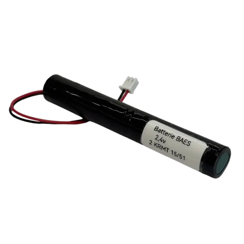 Batterie BAES Zemper 2.4V 1700mAh NiMH 2AA avec connecteur – Éclairage de secours 15/51