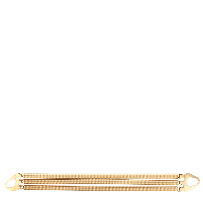 Babyliss Pro 4Artist Jeu Ressorts Courts pour Viber FXSM1GE Gold - ressorts courts de rechange