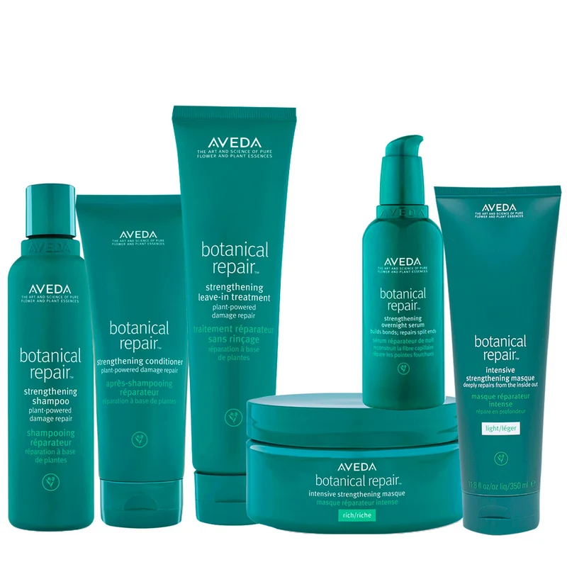 Système restructurant Aveda Botanical Repair